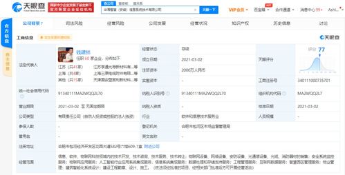 軟件開發(fā)及技術(shù)轉(zhuǎn)讓 創(chuàng)新與價(jià)值的雙輪驅(qū)動