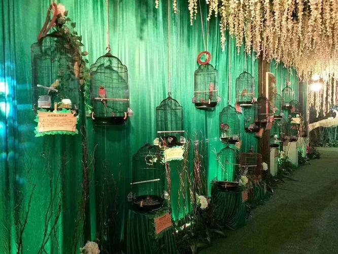 萌寵租賃,寵物兔展覽,海獅表演,馬戲團(tuán)商演,海洋動物展覽