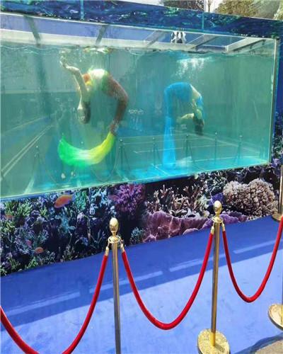 沈陽馬戲團(tuán)出租預(yù)約電話