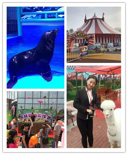 溧陽市附近萌寵動物展出租各類展覽