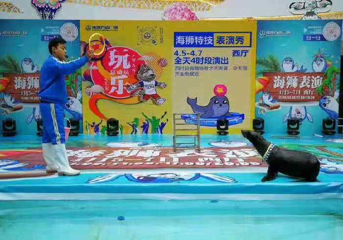 張家口市沽源縣馬戲團(tuán)動物租賃馴養(yǎng)員