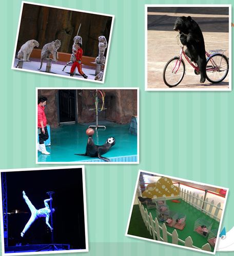 出租馬戲團表演陽江