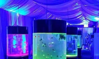 海洋展設備出租鯊魚展觀賞魚缸出租海獅表演