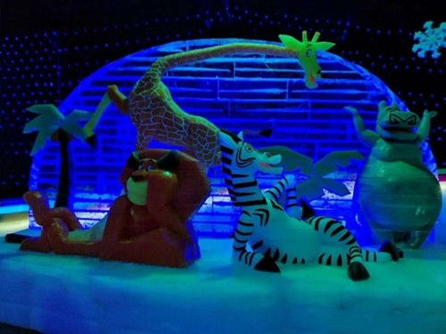 醴陵蝴蝶標(biāo)本出租合作的費用多少