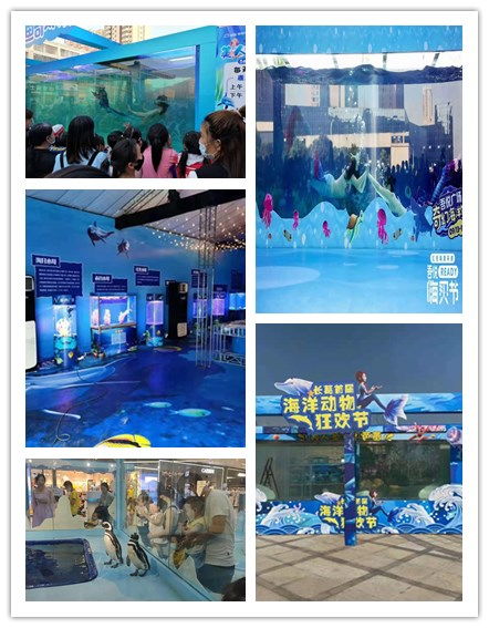 湖北隨州市馬戲團表演出租