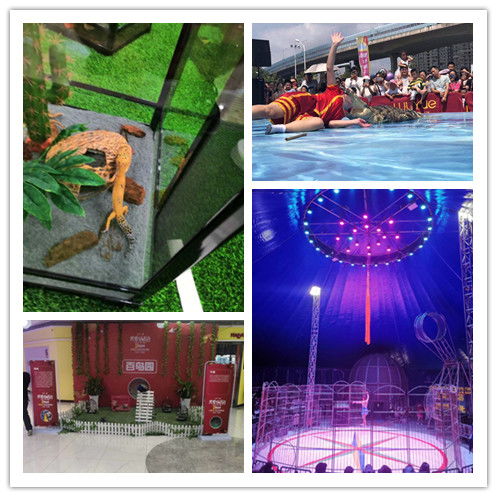 親子互動馬戲團(tuán)表演出租抓緊預(yù)定租賃馬戲團(tuán)表演