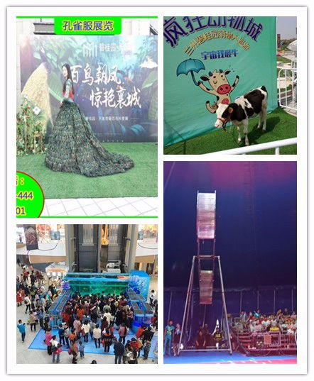 洛陽市出租馬戲團(tuán)表演親子互動