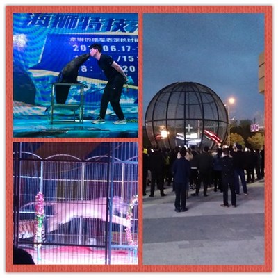 勝凱|動物出租|馬戲團表演出租|魚缸展|環球飛車|馴鹿出