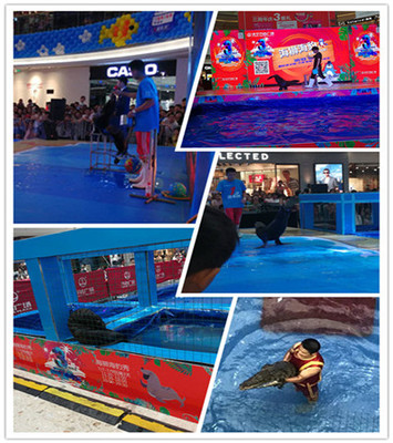 臺州馬戲團表演多少錢合作的模式