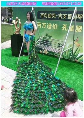 陜西大型馬戲團(tuán)表演出租 羊駝海獅萌寵出租 動物展覽出