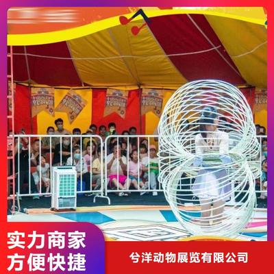 馬戲團(tuán)表演出租活動慶典