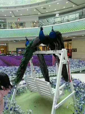 重慶馬戲團(tuán)表演出租演出/租賃2022已更新(今日/動態(tài))