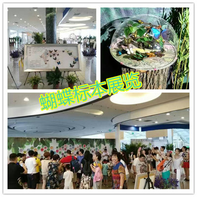 對外出租馬戲團(tuán)雜技演出 全國供應(yīng)_設(shè)備租售_演藝吧_中華演出網(wǎng)