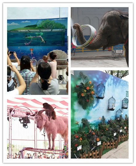 廣元馬戲團(tuán)出租價格