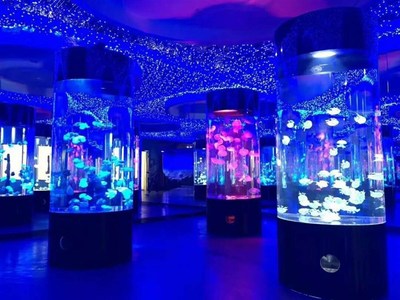 勝凱|動物出租|馬戲團表演出租|魚缸展|環(huán)球飛車|馴鹿出