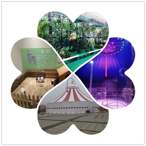 全椒縣周邊鸚鵡表演出租