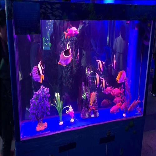 肅北縣國際馬戲團表演