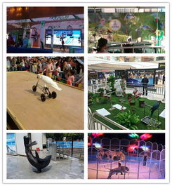 成都馬戲團(tuán)表演出租新聞ht租賃圈資訊