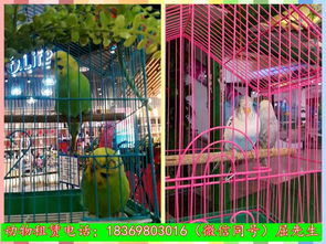 加急置頂新疆維吾爾自治區(qū)烏魯木齊什么地方有出租馬戲團(tuán)表演的