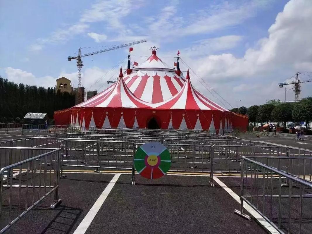 錦州動物出租.動物出租#馬戲團表演出租#海獅表演出租#羊駝出