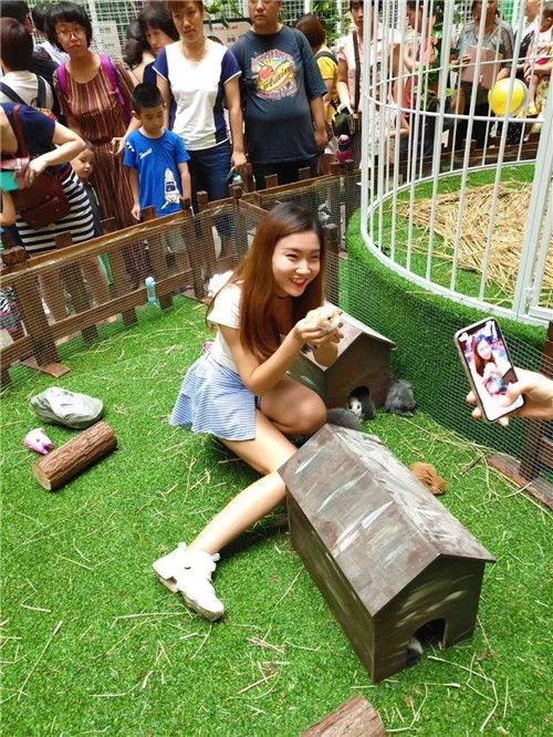 遼陽百鳥展出租優(yōu)惠方便客商