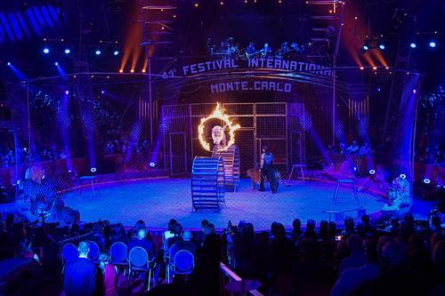 福州專(zhuān)業(yè)馬戲團(tuán)租賃服務(wù)與大型展覽演出公司