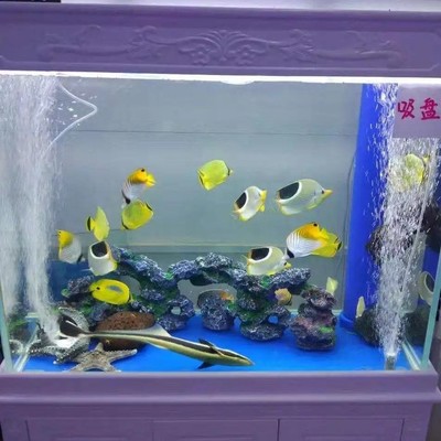 濟源2022魚缸展與馬戲團表演合作——全新更新，歡迎您的參與